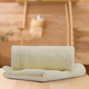 Lush & Beyond | 100% Cotton Face Towel | Set of 2 | 500 GSM | Premium, Super-Soft, Absorbent & Odor Resistant | 12 x 12 Inches