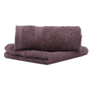 Lush & Beyond | 100% Cotton Face Towel | Set of 2 | 500 GSM | Premium, Super-Soft, Absorbent & Odor Resistant | 12 x 12 Inches